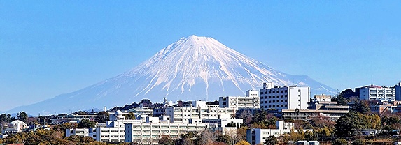ShizuDai